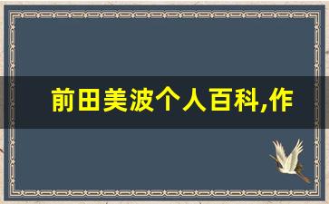 前田美波个人百科,作品资料