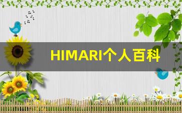 HIMARI个人百科,作品资料