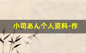 小司あん个人资料-作品
