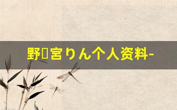 野々宮りん个人资料-作品
