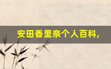 安田香里奈个人百科,安田香里奈作品大全