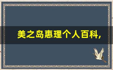 美之岛惠理个人百科,作品资料