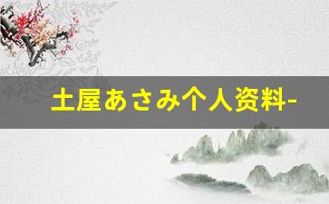 土屋あさみ个人资料-作品