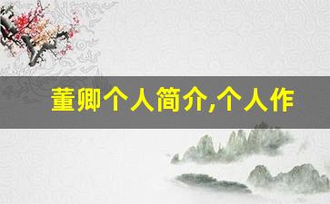 董卿个人简介,个人作品
