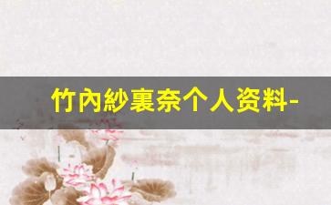 竹內紗裏奈个人资料-作品