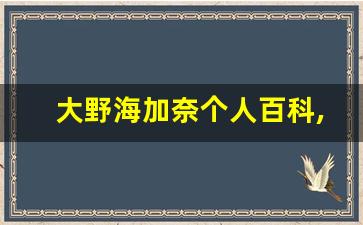 大野海加奈个人百科,作品资料
