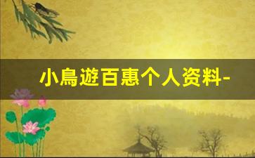 小鳥遊百惠个人资料-作品