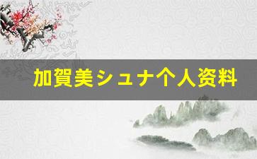 加賀美シュナ个人资料-作品