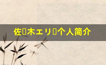 佐々木エリー个人简介,佐々木エリー个人作品大全