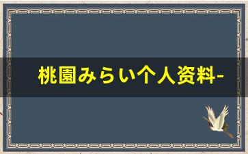 桃園みらい个人资料-作品