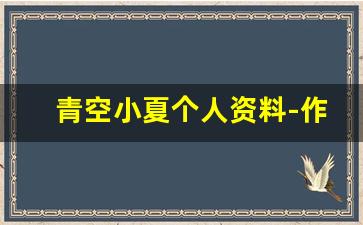 青空小夏个人资料-作品