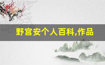 野宫安个人百科,作品资料