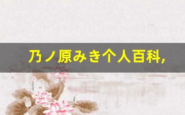 乃ノ原みき个人百科,乃ノ原みき作品大全