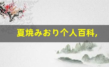 夏焼みおり个人百科,夏焼みおり作品大全