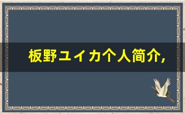 板野ユイカ个人简介,板野ユイカ个人作品大全