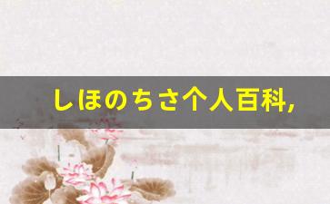 しほのちさ个人百科,星崎みゆう作品大全