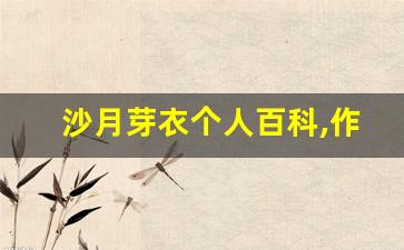 沙月芽衣个人百科,作品资料