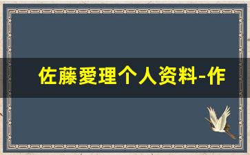 佐藤愛理个人资料-作品