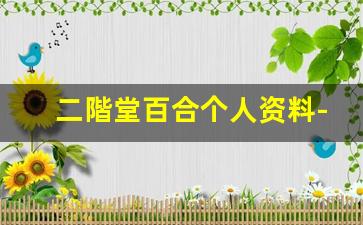 二階堂百合个人资料-作品