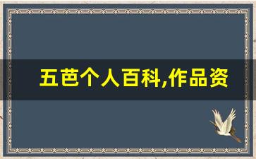 五芭个人百科,作品资料