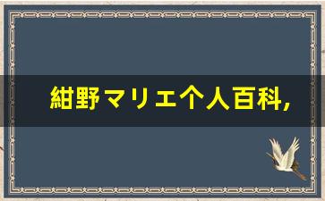 紺野マリエ个人百科,紺野マリエ作品大全