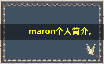 maron个人简介,艺术作品