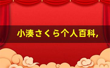 小湊さくら个人百科,小湊さくら作品大全