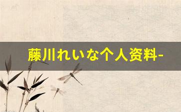 藤川れいな个人资料-作品