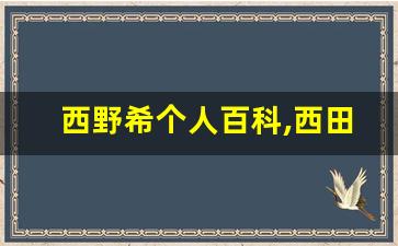 西野希个人百科,西田奈々子作品大全
