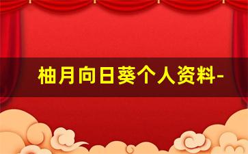 柚月向日葵个人资料-作品