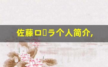 佐藤ローラ个人简介,艺术作品大全