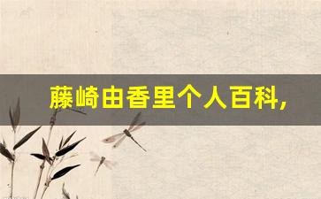 藤崎由香里个人百科,作品资料
