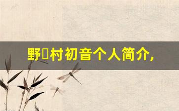 野々村初音个人简介,艺术作品