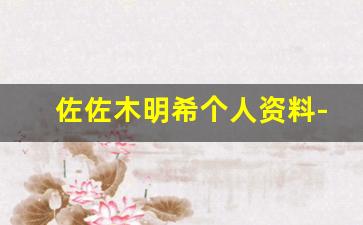 佐佐木明希个人资料-作品