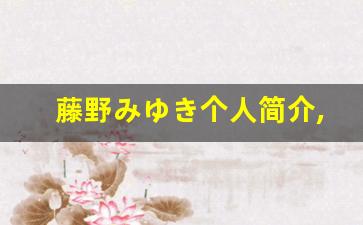 藤野みゆき个人简介,艺术作品大全