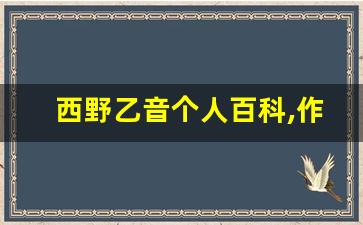西野乙音个人百科,作品资料