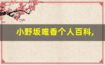小野坂唯香个人百科,作品资料