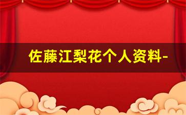 佐藤江梨花个人资料-作品