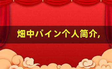 畑中パイン个人简介,艺术作品