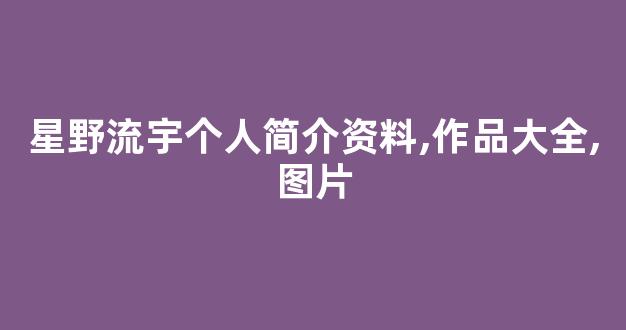 星野流宇个人简介资料,作品大全,图片