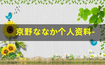 京野ななか个人资料-作品