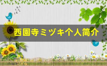 西園寺ミヅキ个人简介,西園寺ミヅキ个人作品大全