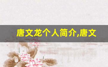 唐文龙个人简介,唐文龙作品介绍