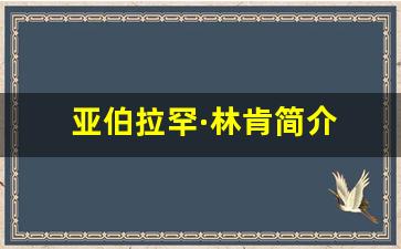 亚伯拉罕·林肯简介