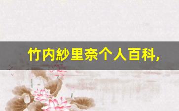竹内紗里奈个人百科,竹内紗里奈作品大全