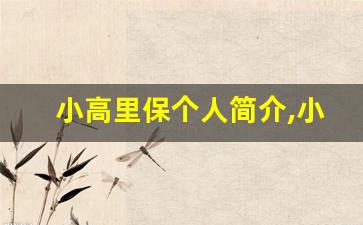 小高里保个人简介,小高里保个人作品大全