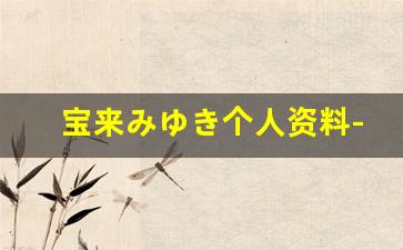 宝来みゆき个人资料-作品