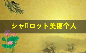 シャーロット美穂个人百科,シャーロット美穂作品大全