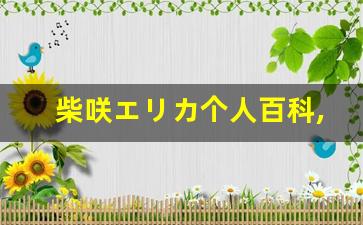 柴咲エリカ个人百科,柴咲エリカ作品大全