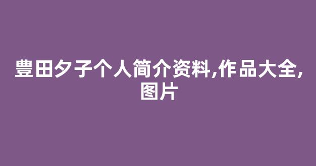豊田夕子个人简介资料,作品大全,图片